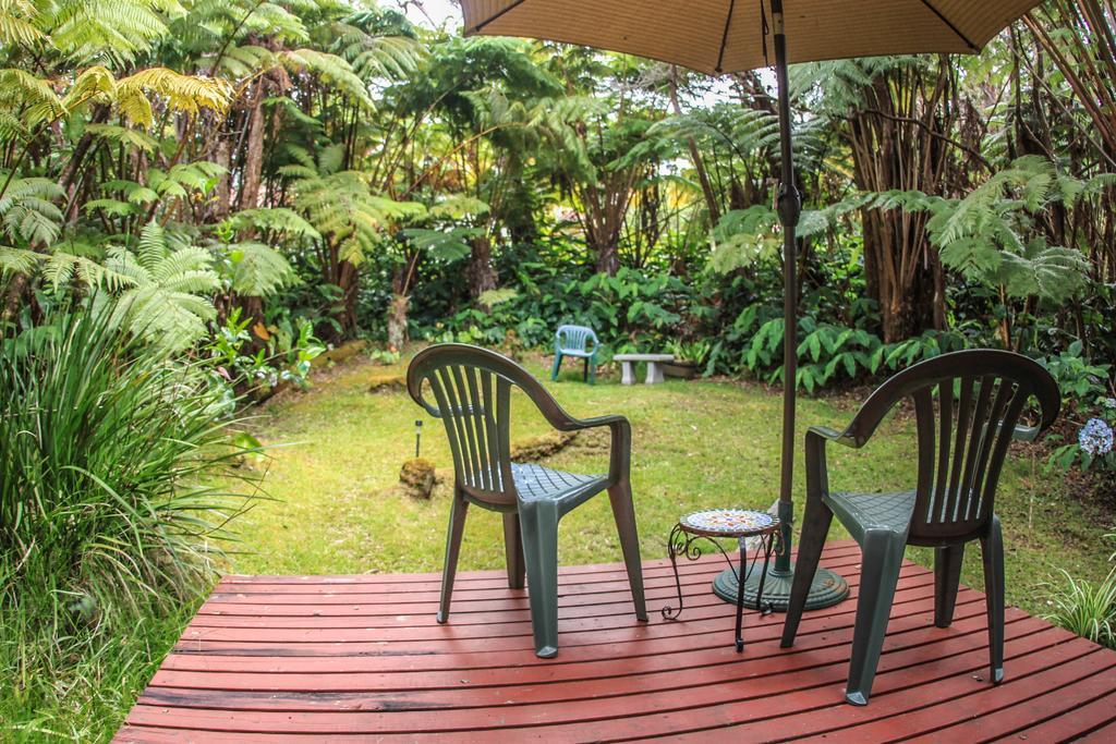 Ferny Hollow: Romantic Rainforest Cottage Volcano Exterior foto