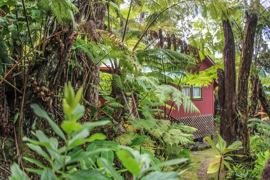 Ferny Hollow: Romantic Rainforest Cottage Volcano Exterior foto