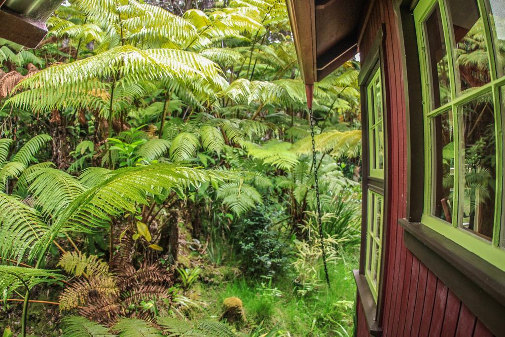 Ferny Hollow: Romantic Rainforest Cottage Volcano Exterior foto